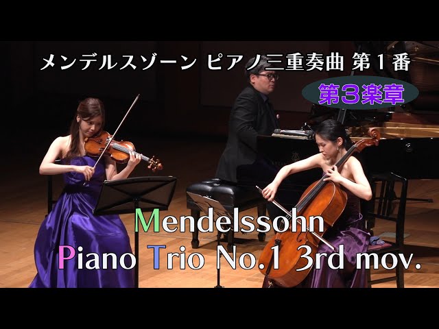 Mendelssohn – Piano Trio No. 1, 3rd Movement - YouTube
