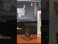 Mia joined this trend 🤭#kitten  #tortoiseshell #trending #cute #speedsong