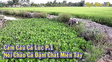 Cắm Câu Đêm Miền Tây Về Nấu Cháo Cá Lóc Món Ngon Dân Dã P.1/Fishing and Cooking/NGÃ NĂM TV