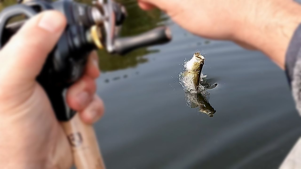 I Flew to Michigan! Kayak fishing the spawn Michigan 2023 Part 1/6