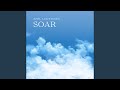 Soar