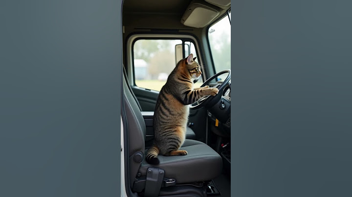 Прочь с дороги, пёс! 🚛🐾 Кот за рулем грузовика сигналит #кот #милота #cat #cute #smartcat