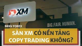 SÀN XM CÓ NỀN TẢNG COPY TRADING KHÔNG? BRKV Forex