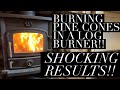 Burning Pine Cones In Your Fireplace , The Results Are Incredible!! , Free Fuel For Your Log Burner!