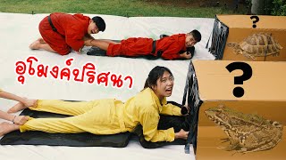 สไลเดอร์กล่องเสี่ยงดวง เข้าผิดมีเละ!! | Don’t choose the wrong mystery box!!