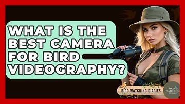 What Is The Best Camera For Bird Videography? - Bird Watching Diaries