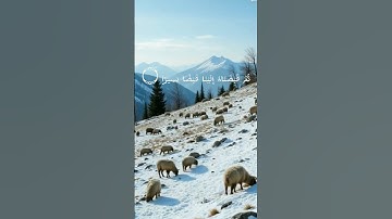 تلاوة تريح القلب ❤️ للقارئ عبدالعزيز السحيم #تلاوة_خاشعة #تلاوة_هادئة