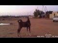 طرق الهوى 