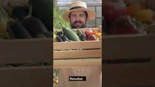 Arrêtez de perdre l'espace de votre jardin #jardinage #efficient #forêt