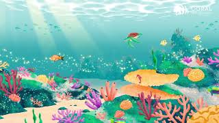 Famous The Science of Coral Adaptation Part 2 - Coral Reef Alliance Profile