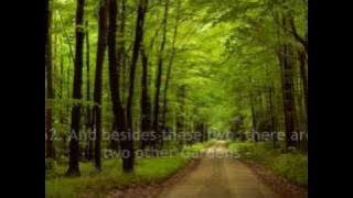 Salah Bukhatir - Surah Ar Rahman (55) (English Translation)