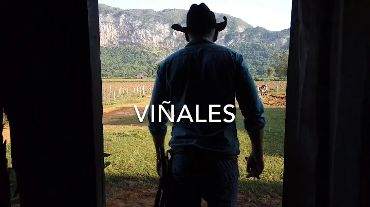 Vinales, Cuba September 2019