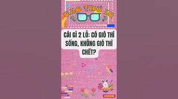 Câu Đố Vui Nhộn: Thử Thách Tư Duy Logic Của Bạn p21 | Cao Thủ IQ #caudovui  #dovui  #quiz #giaitri