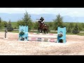 For sale jump start my heart 2016 idsha gelding 162 hh