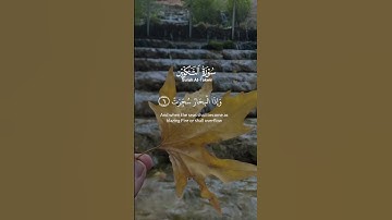 قرآن كريم #العراق#السعودية#اكسبلور#ترند#تلاوة_خاشعة#حالات_واتس#ياسر_الدوسري#قران_كريم#قرآن#هند#صيني