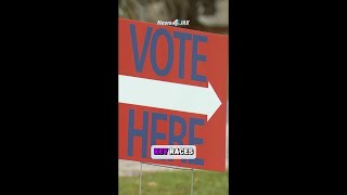 Georgia voters to decide runoff elections in several key primary races