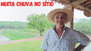 Download Lagu MUITA CHUVA NO SÍTIO VEJAM SÓ COMO TÁ FICANDO TUDO VERDE SÓ GRATIDÃO MP3