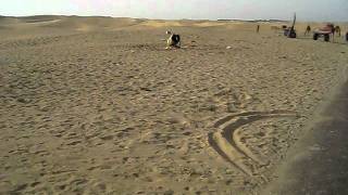 D:\MVI_0174.AVI