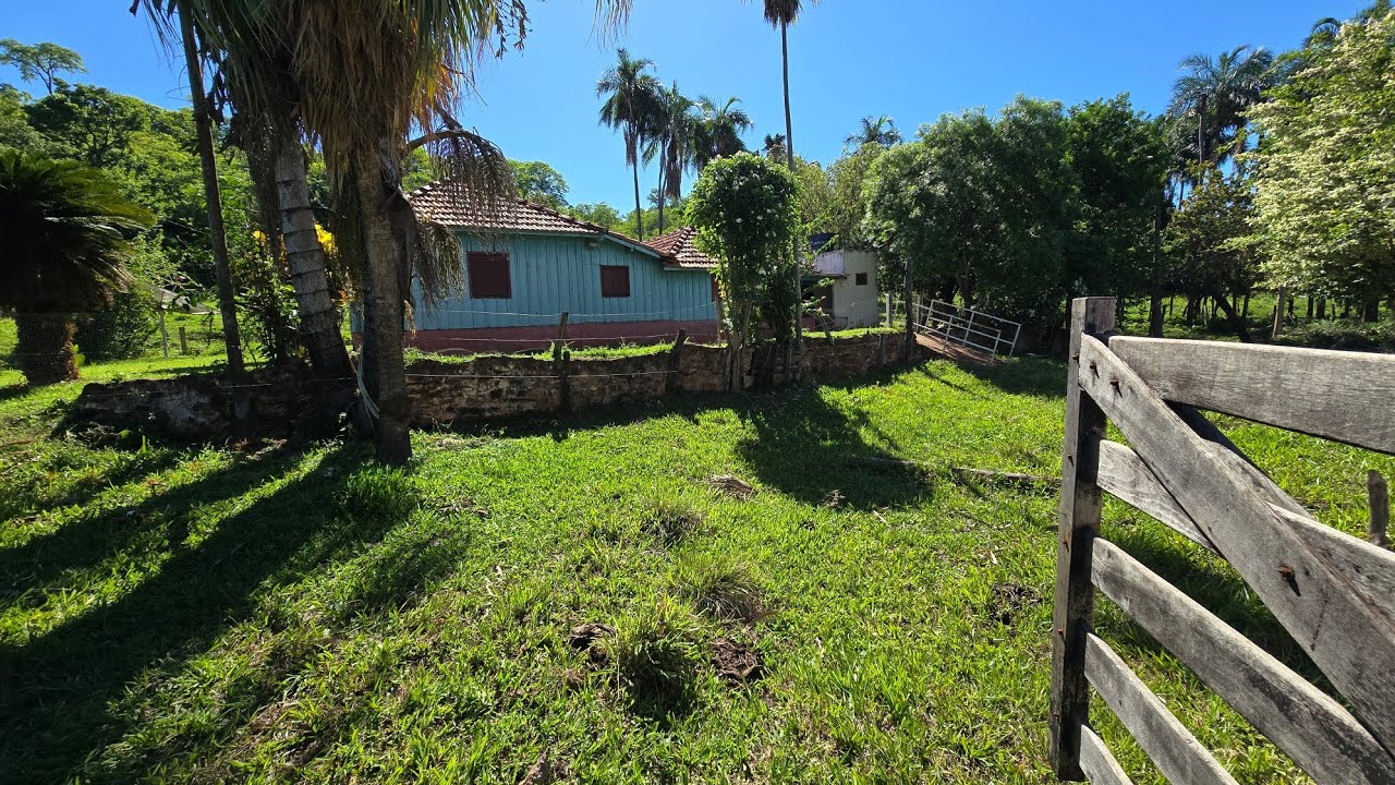 FAZENDA 50 HECTARES Jaraguary MS- 067 99838 7631 muito Barato só 2 milhões 