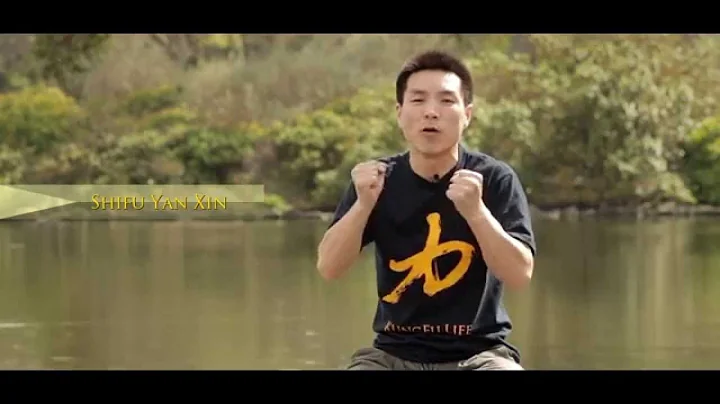 Shaolin Lian Huan Quan Course Introduction - KungF...