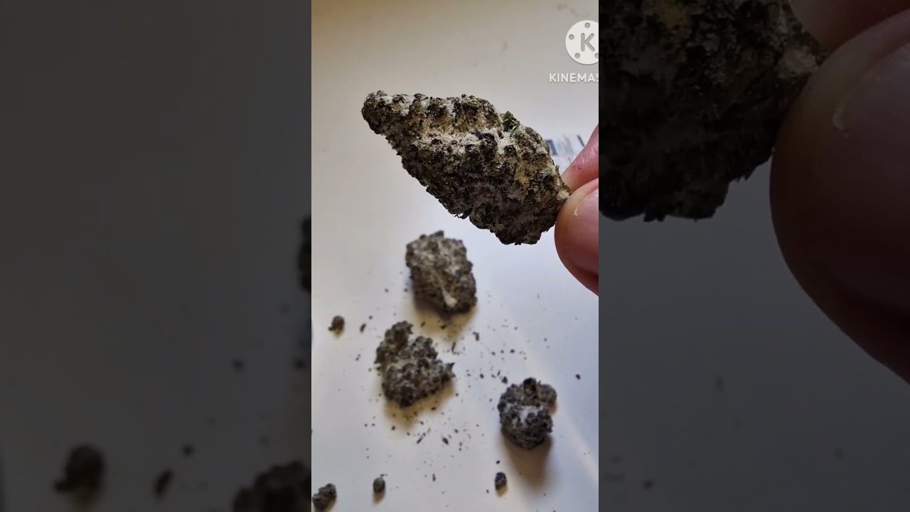 Backwoodz thca purple snowcaps. Review coming soon !!