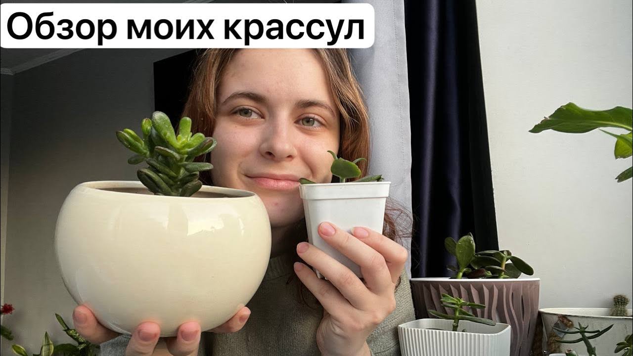 Обзор моих крассул