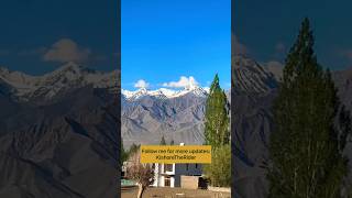 Best Homestay in ladakh #viral #travel #leh #trending #ladakh #lehhomestay #lehladakh #shorts #video