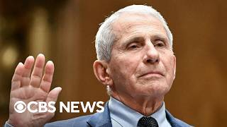 Legal analysis on whether Dr. Anthony Fauci can be punished for invoking Fifth Amendment