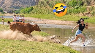 Try Not To Laugh 🤣 Top 100 Funniest Videos 2026 🎬🔥 Best Memes, Epic Fails & Pranks Compilation #48 Guide