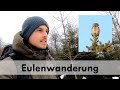 Natur Entdecken - Eulenwanderung