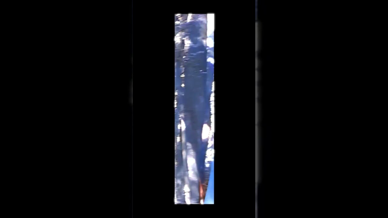 ***.FEMALE ALBATWITCH  ***