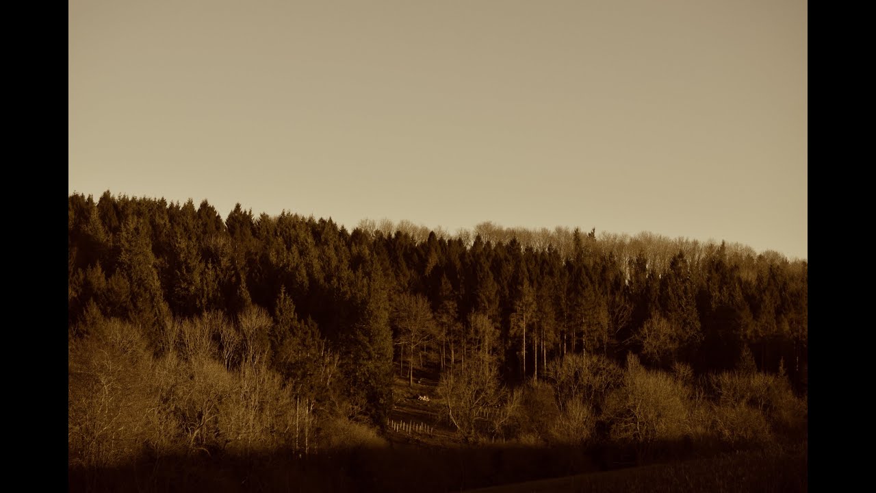 Guarda Samuel Scot - Pine su YouTube Guarda Samuel Scot - Pine su YouTube