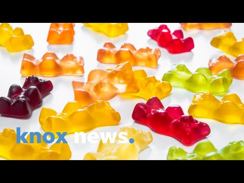 Levo Ll Users Guide To Making Infused Cannabis Gummies Levo Ganja Edibles Marijuana W33d