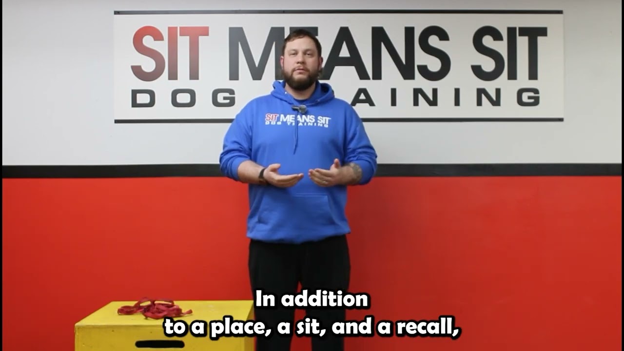 Smart Start Puppy Program