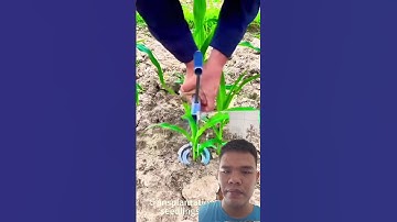 Dụng cụ bứng cây thông minh. #famer #farming #easyfarming