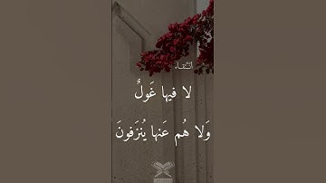 الشيخ عبدالعزيز الاحمد ( تلاوة فجرية ) ترتيل مُبهر