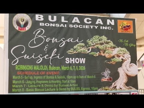 BONSAI & SUIZEKI SHOW AT ROBINSON MALOLOS by BONSAI SOCIETY INC. 🤩😳😱 #viral #bonsai #show #aqsidalz