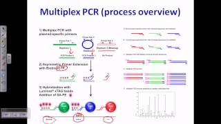 PCR types screenshot 5