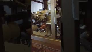Systemate breast cap filleting machine *FOR SALE*