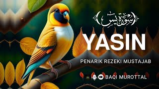 BIKIN NANGIS..!!SURAH YASIN MERDU BIKIN NANGIS | SURAT PEMBUKA PINTU REZEKI