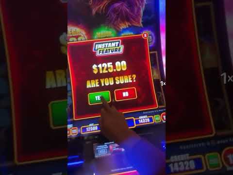 APUESTA MÁXIMA EN LA FRUIT COCKTAIL 🤑😱 | Maquinita tragamonedas