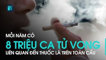 Thuốc lá hủy hoại hơn 8 triệu người trên toàn cầu mỗi năm | VTC1