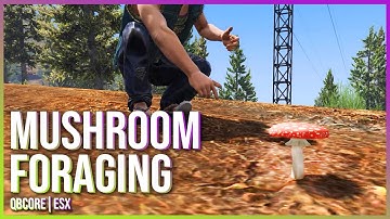 Mushroom Foraging | FIVEM Scripts | PrimeDev | ESX + QBCore