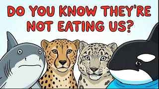 Why Some Apex Predators Don’t Eat Human (It's Not What You Think)