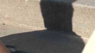 Neighbors React To Child's Drowning