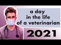 A Day in the Life of A Veterinarian 2021 - Dr Ross Henderson