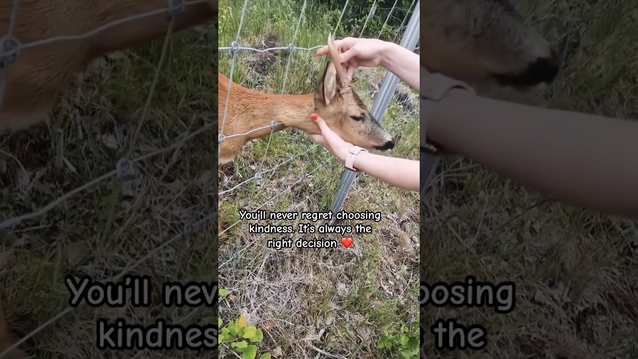 A world touched by kindness becomes a masterpiece of love ❤️ 