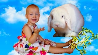 ♥ Наш Декоративный Кролик Снежок ВИДЕО ДЛЯ ДЕТЕЙ Животные Для Детей Игра В Прятки Decorative Rabbit ♥ Наш Декоративный Кролик Снежок ВИДЕО ДЛЯ ДЕТЕЙ Животные Для Детей Игра В Прятки Decorative Rabbit