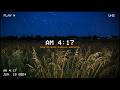 Grasshoppers at Night Ambience 🌙 Peaceful Insect Sounds & Relaxing Summer Night Atmosphere