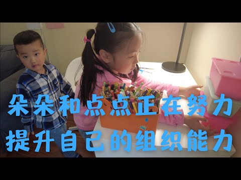 朵朵和点点明天都在努力提升自己的组织和归纳能力
